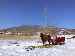 -亚布力新体委滑雪场