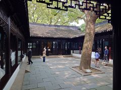 -上海醉白池公园