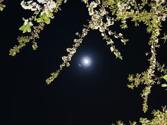 -大富贵烧烤公司(双廊店)