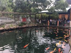 -湖鲜楼