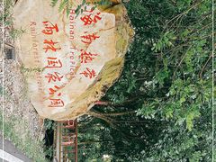 -海南热带雨林国家公园吊罗山景区