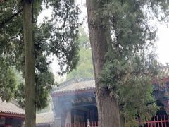 -武侯墓风景区