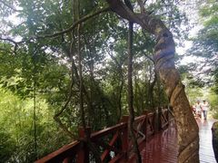 -广州市石门国家森林公园