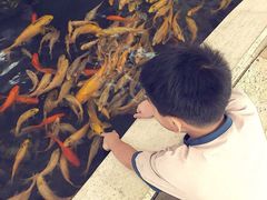-千岛湖鱼味馆(十字街总店)