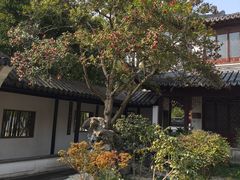 -秋霞圃