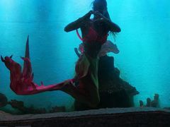 -瑞德姆美人鱼海底演艺主题餐厅(亚龙湾店)