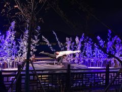 -南北湖风景区