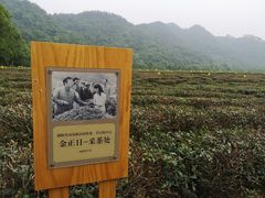 -中国茶叶博物馆(双峰馆区)
