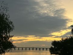 -宝安西湾红树林湿地公园