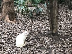 -苏州河梦清园环保主题公园