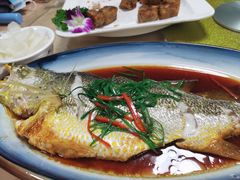 -阿静美食