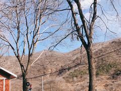 -妙峰山风景名胜区