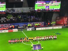 -成都金融城演艺中心