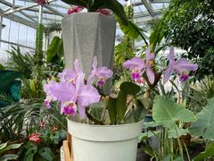 -国家植物园南园