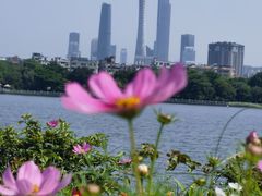 -海珠湖公园
