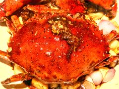 -狮拾久·现代新加坡料理(福田COCO Park店)