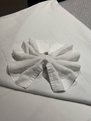 -美健盛世·美容SPA连锁