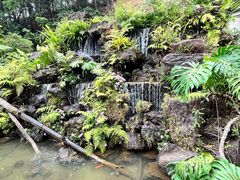 -深圳仙湖植物园