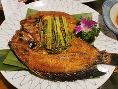 -紫滇源云南生态菜(丹凤街店)