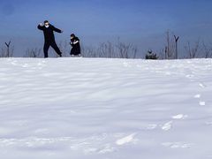 -绿野森林乐园冰雪季