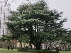 -南通濠河风景名胜区