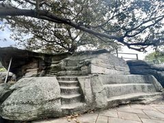 -麦考利夫人座椅