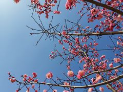 -天鹅湖体育公园