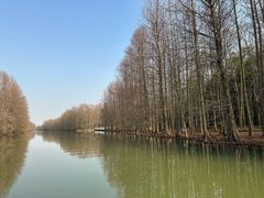 -上海海湾国家森林公园