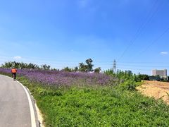 -桂溪生态公园