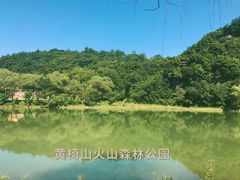 -黄椅山火山森林公园