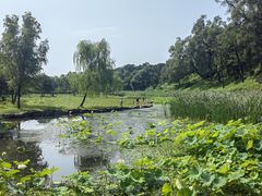 -承德避暑山庄景区
