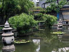 -碧江金楼