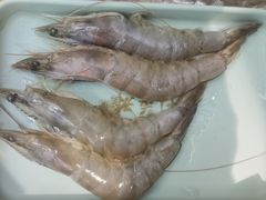 -蚝英雄鲜蚝自助专门店(长楹天街直营店)