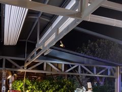 -渔家火锅·海鲜自助餐·演艺(亚龙湾天域酒店)