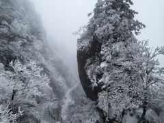 -秦岭天竺山景区