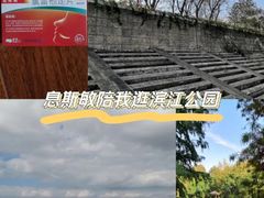 -上海滨江森林公园