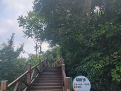 -大岭沟猕猴桃谷风景区