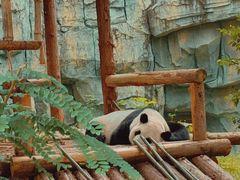 -泉州海丝野生动物世界