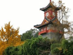 -四川大学(华西校区)