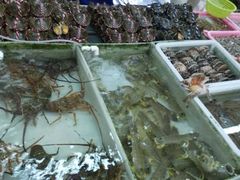 -大湾区中央湿地公园-十九涌