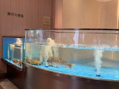-阿庄新豫菜(航海东路店)