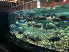 -成都浩海立方海洋公园