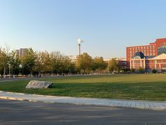 -东北大学(秦皇岛分校)
