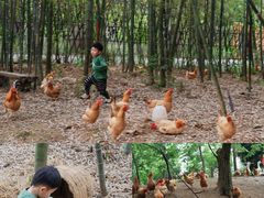 -加顺农场餐厅