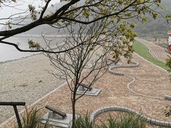 -花岙岛