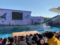 -北戴河圣蓝海洋公园