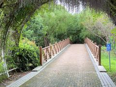 -同里国家湿地公园