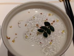 -觀芷隐轩