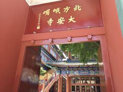 -大明幻境第一城