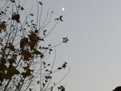 -见山书院